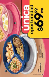 Catálogo Fuller Página 99