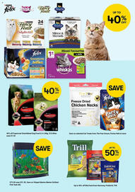 BIG W catalogue Page 3