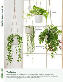 Botanix flyer Page 12
