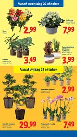 Lidl folder week 43 Pagina 23