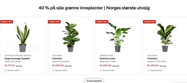 Plantasjen kundeavis Side 2