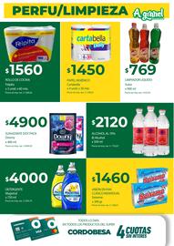 Catálogo Supermercados A Granel semana 42 Página 10
