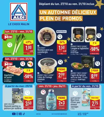 ALDI Dépliant (geldig t/m 1-11)