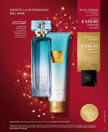 Catálogo L'Bel Página 11