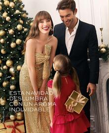 Catálogo L'Bel Página 14