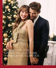 Catálogo L'Bel Página 22