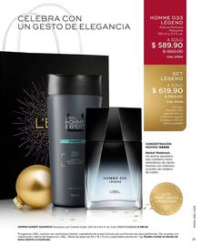 Catálogo L'Bel Página 31