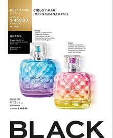 Catálogo L'Bel Página 66