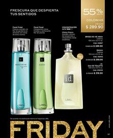 Catálogo L'Bel Página 67