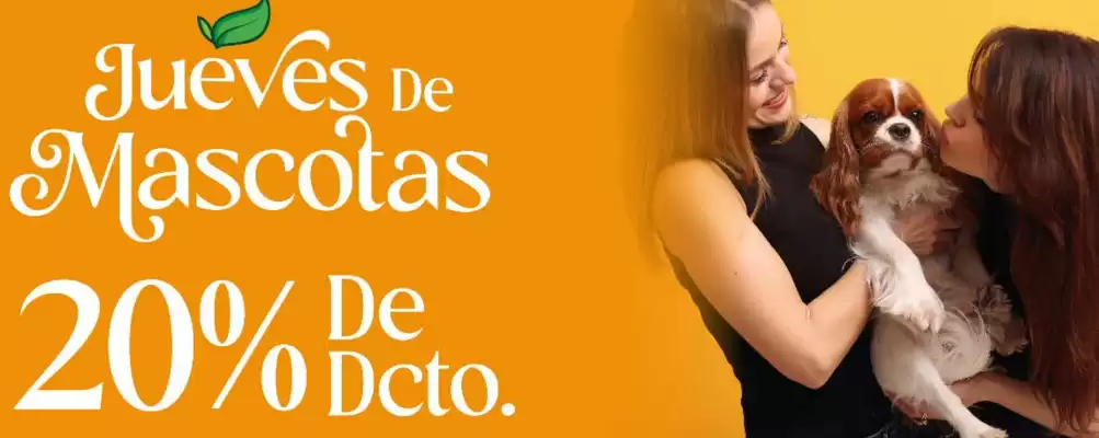 Catálogo Coral Hipermercados (válido hasta 16-10)