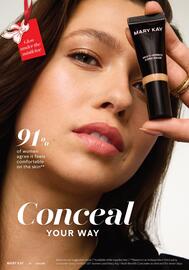 Mary Kay Flugblatt Seite 22