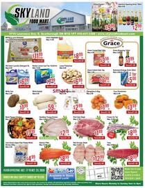 Skyland Foodmart flyer week 42 Page 1