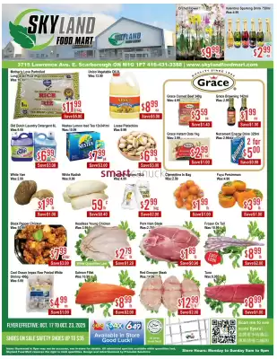 Skyland Foodmart flyer (valid until 22-10)