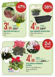 Catalogue Botanic page 2