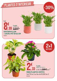 Catalogue Botanic page 5
