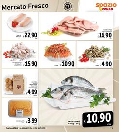 Volantino Spazio Conad Pagina 13