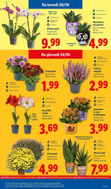 Volantino Lidl settimana 42 Pagina 41