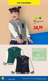Lidl gazetka tydzień 43 Strona 38