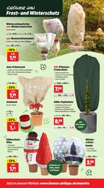 Thomas Philipps Prospekt woche 43 Seite 11