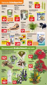 Thomas Philipps Prospekt woche 43 Seite 9