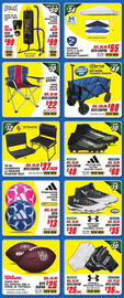 Big 5 weekly ad week 42 Page 3