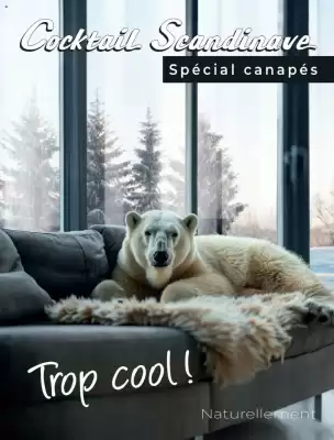 Catalogue Cocktail Scandinave (valable jusqu'au 29-11)