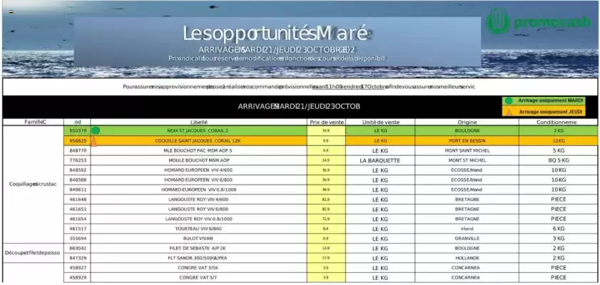 Catalogue Promocash (valable jusqu'au 23-10)