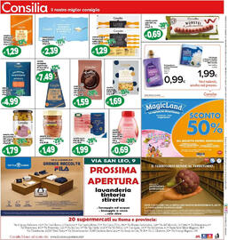 Volantino Il Castoro Supermercati Pagina 20