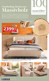 Segmüller Prospekt Seite 8