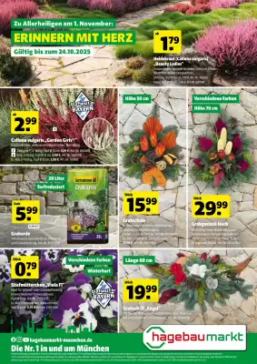 Hagebau Prospekt (gültig bis 25-10)