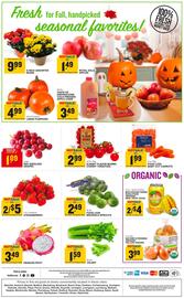 Food Lion weekly ad week 42 Page 8