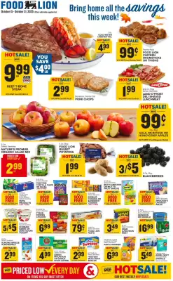 Food Lion weekly ad (valid until 21-10)