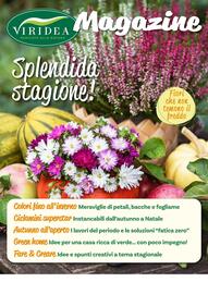 Volantino Viridea Pagina 1