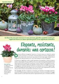 Volantino Viridea Pagina 10