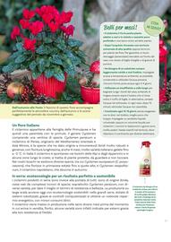 Volantino Viridea Pagina 11