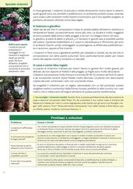 Volantino Viridea Pagina 12