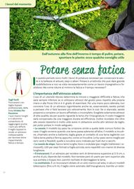 Volantino Viridea Pagina 14