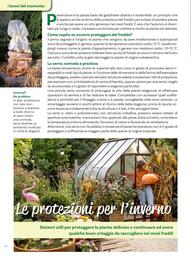 Volantino Viridea Pagina 16