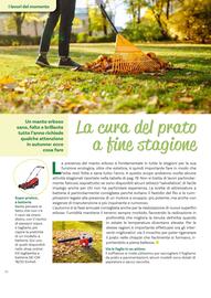 Volantino Viridea Pagina 18