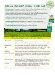 Volantino Viridea Pagina 19