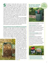 Volantino Viridea Pagina 21