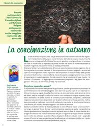Volantino Viridea Pagina 22