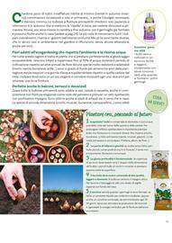 Volantino Viridea Pagina 25