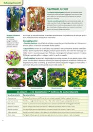 Volantino Viridea Pagina 26