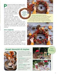 Volantino Viridea Pagina 29