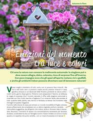 Volantino Viridea Pagina 3