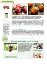 Volantino Viridea Pagina 30