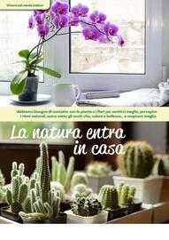 Volantino Viridea Pagina 34