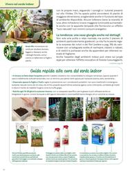 Volantino Viridea Pagina 36