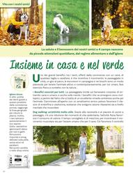Volantino Viridea Pagina 40